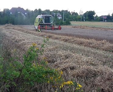 iung, raport, susza rolnicza, zasięg suszy