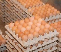 Jaj w Polsce brakuje. Ich ceny rosną i jeszcze pójdą w górę